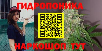 spice Донской