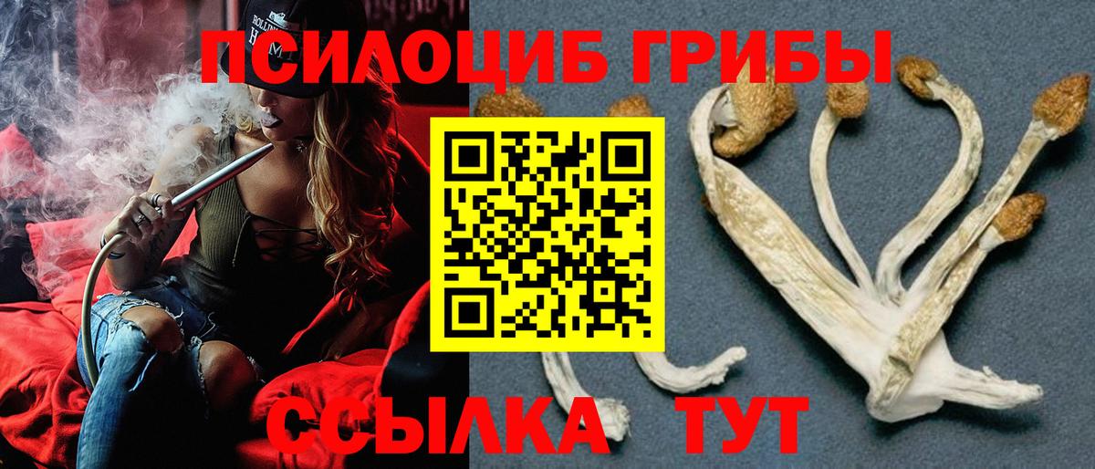 Луховицы  Псилоцибиновые грибы Magic Shrooms  Вход с VPN 